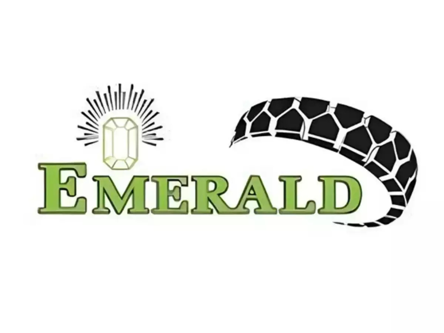 Emerald Tyre Manufacturers' SME IPO Receives Massive 487x Subscription on Closing Day, Grey Market Premium Rises Sharply