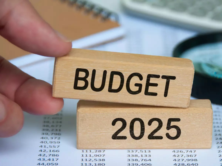 Budget 2025: Key Hopes and Priorities for the Middle Class