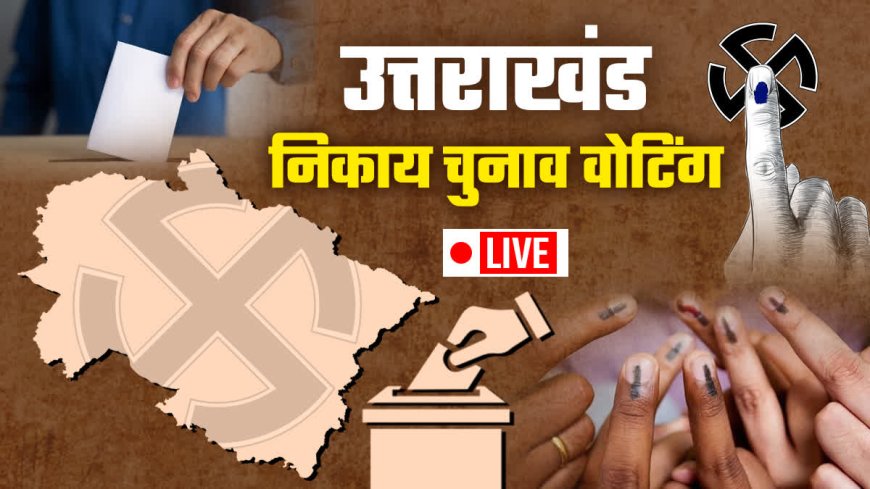 Uttarakhand Municipal Election Results 2025 Live: Vote Counting Progresses, Recount Ordered in Ward One of Padli Gujjar Nagar Panchayat