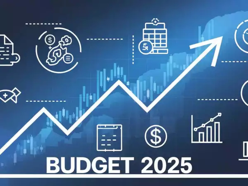 Nuvama’s Insights On The 2025 Budget: Everything You Should Know