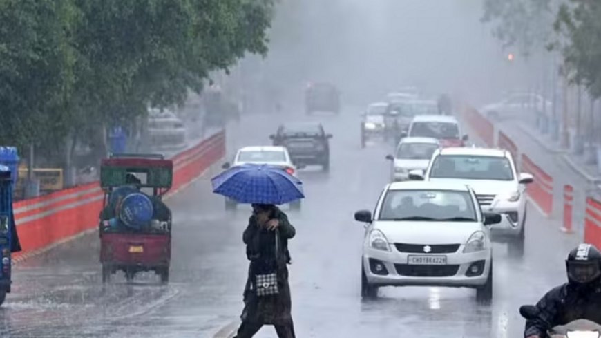 WB Rain Forecast Until February 28: Heavy Showers in Multiple Areas, Storms with Hail Expected, Alert Issued