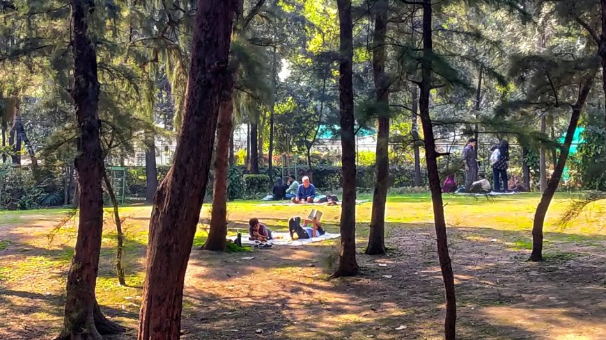 Delhi Experiences Warmest February Night in 74 Years, Check Tomorrow’s Weather Forecast