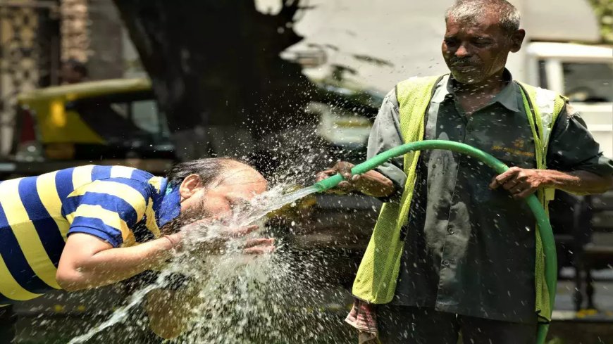 February’s Heatwave Breaks 124-Year Record – Summer Arrives Early, More Challenges Ahead!